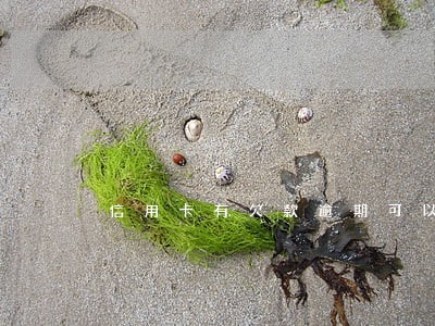 信用卡有欠款逾期可以贷款吗 信用卡有欠款逾期可以贷款吗