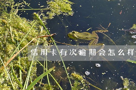 信用卡有次逾期会怎么样