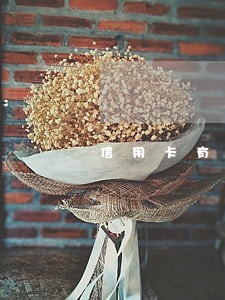 信用卡有没有逾期在哪里看 信用卡有没有逾期在哪里看