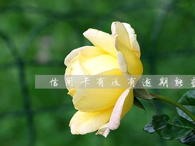 信用卡有没有逾期能查吗 信用卡有没有逾期能查吗