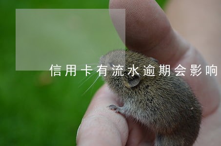 信用卡有流水逾期会影响征信吗 信用卡有流水逾期会影响征信吗
