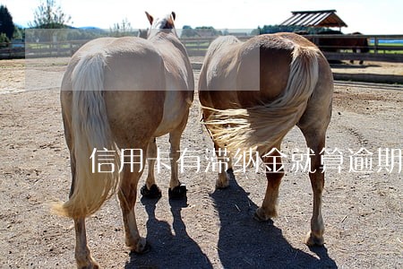 信用卡有滞纳金就算逾期吗
