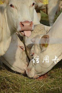 信用卡有滞纳金属于逾期吗 信用卡有滞纳金属于逾期吗