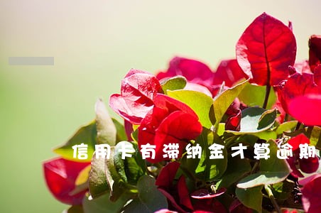 信用卡有滞纳金才算逾期吗 信用卡有滞纳金才算逾期吗