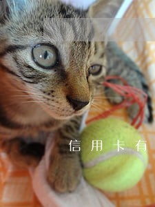 信用卡有短时间逾期影响签证么