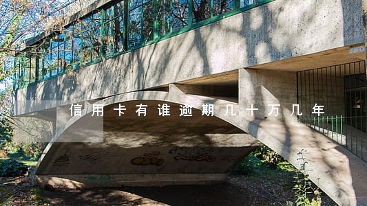 信用卡有谁逾期几十万几年 信用卡有谁逾期几十万几年