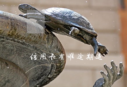 信用卡有谁逾期过 信用卡有谁逾期过