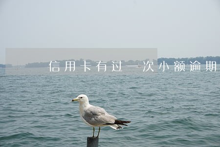 信用卡有过一次小额逾期