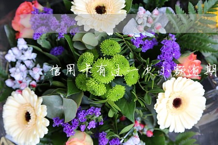 信用卡有过一次小额逾期房贷