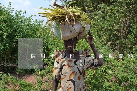 信用卡有过一次逾期提额 信用卡有过一次逾期提额