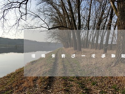 信用卡有过一次逾期能办车贷 信用卡有过一次逾期能办车贷