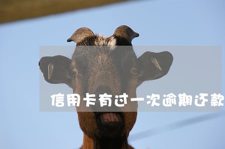信用卡有过一次逾期还款 信用卡有过一次逾期还款