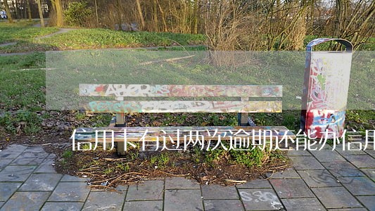 信用卡有过两次逾期还能办信用