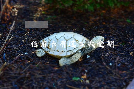 信用卡有过五次逾期 信用卡有过五次逾期
