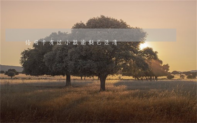 信用卡有过小额逾期已还清 信用卡有过小额逾期已还清
