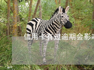 信用卡有过逾期会影响车贷吗 信用卡有过逾期会影响车贷吗