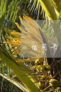 信用卡有过逾期公积金能用吗 信用卡有过逾期公积金能用吗