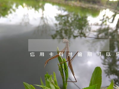 信用卡有过逾期可以房贷嘛 信用卡有过逾期可以房贷嘛