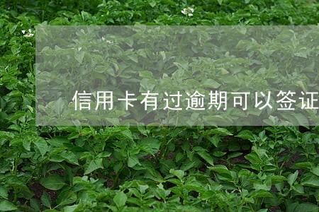 信用卡有过逾期可以签证 信用卡有过逾期可以签证