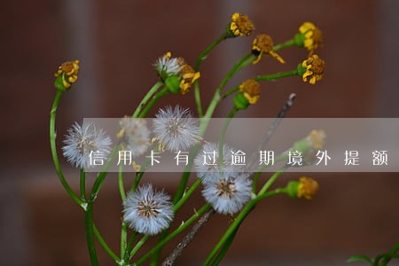信用卡有过逾期境外提额 信用卡有过逾期境外提额