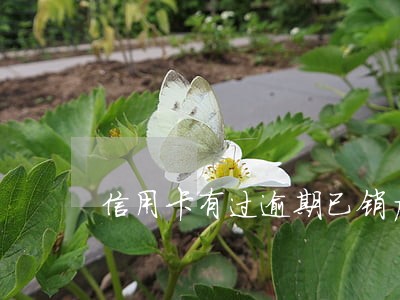 信用卡有过逾期已销户贷款 信用卡有过逾期已销户贷款