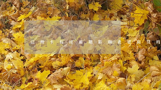 信用卡有过逾期影响老婆房贷吗 信用卡有过逾期影响老婆房贷吗
