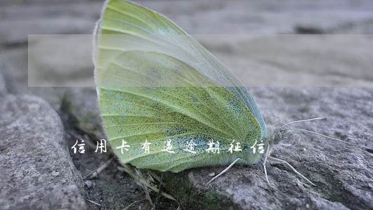信用卡有过逾期征信 信用卡有过逾期征信