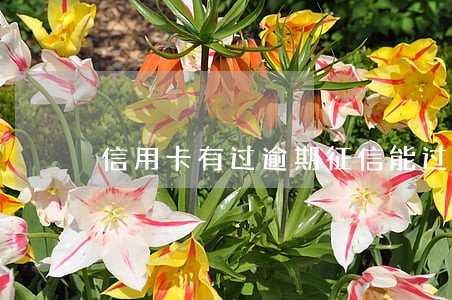 信用卡有过逾期征信能过吗 信用卡有过逾期征信能过吗