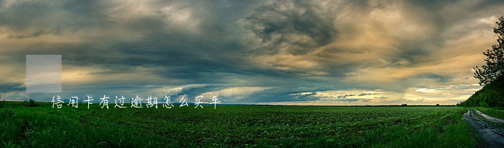 信用卡有过逾期怎么买车 信用卡有过逾期怎么买车