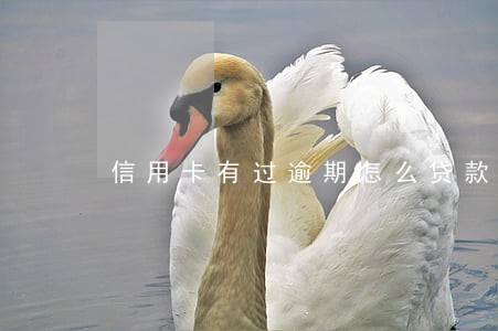 信用卡有过逾期怎么贷款 信用卡有过逾期怎么贷款
