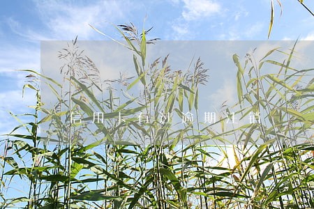 信用卡有过逾期注销