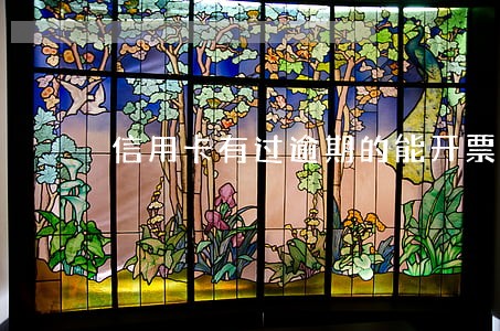 信用卡有过逾期的能开票吗