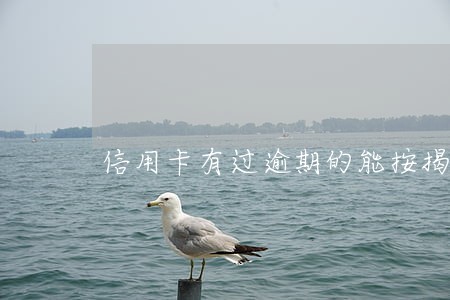 信用卡有过逾期的能按揭房 信用卡有过逾期的能按揭房
