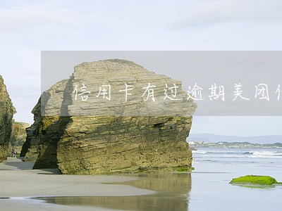 信用卡有过逾期美团借款 信用卡有过逾期美团借款