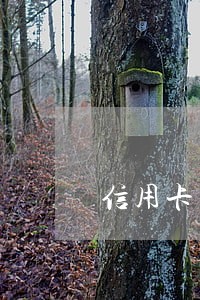 信用卡有过逾期能不能贷款 信用卡有过逾期能不能贷款