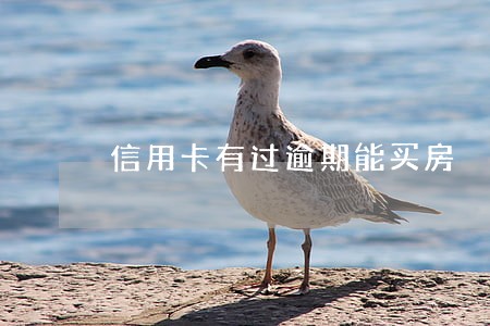 信用卡有过逾期能买房 信用卡有过逾期能买房
