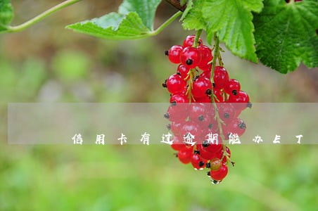 信用卡有过逾期能办ETC吗