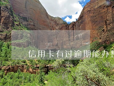 信用卡有过逾期能办整容贷吗 信用卡有过逾期能办整容贷吗