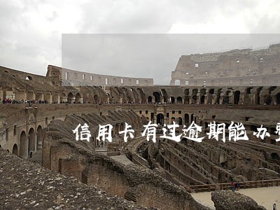 信用卡有过逾期能办整容贷款 信用卡有过逾期能办整容贷款