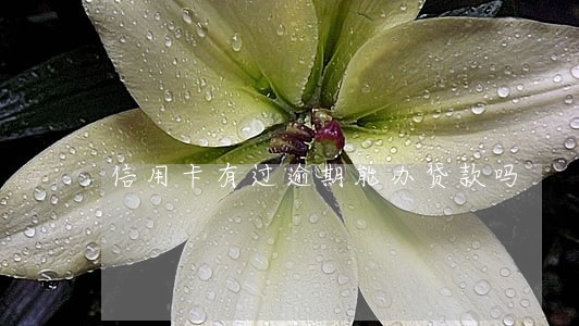 信用卡有过逾期能办贷款吗 信用卡有过逾期能办贷款吗