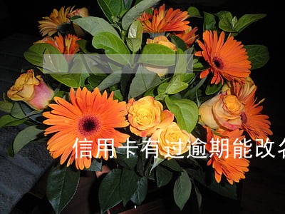 信用卡有过逾期能改名字吗 信用卡有过逾期能改名字吗