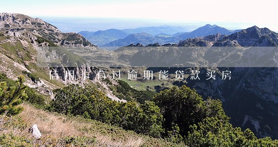 信用卡有过逾期能贷款买房 信用卡有过逾期能贷款买房