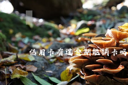 信用卡有过逾期能销卡吗 信用卡有过逾期能销卡吗