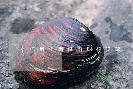 信用卡有过逾期行贷款 信用卡有过逾期行贷款