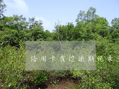 信用卡有过逾期记录多久才能消