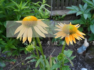信用卡有过逾期记录怎么办 信用卡有过逾期记录怎么办