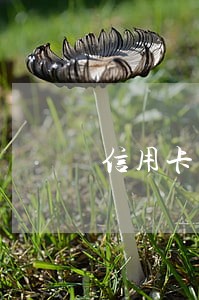 信用卡有过逾期记录能办卡吗 信用卡有过逾期记录能办卡吗
