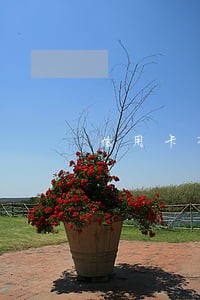 信用卡有过逾期记录能消除吗 信用卡有过逾期记录能消除吗