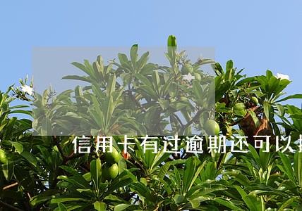 信用卡有过逾期还可以提额吗