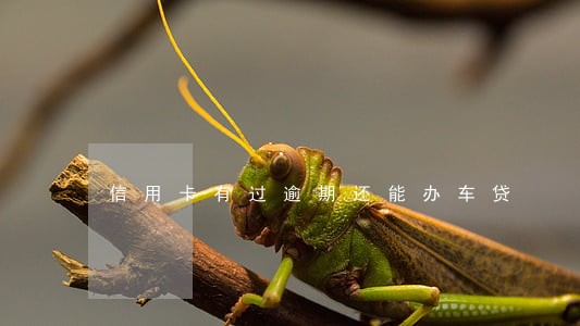 信用卡有过逾期还能办车贷 信用卡有过逾期还能办车贷